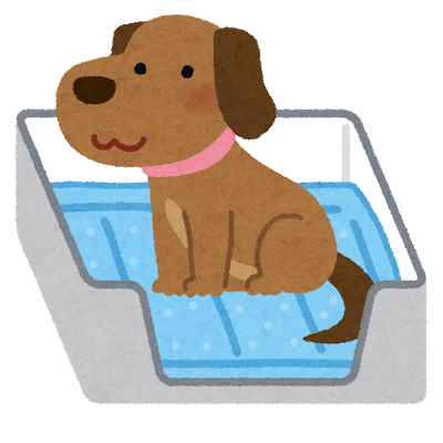 今からでも遅くない 犬のトイレをマスターしよう Inumeshi Blog