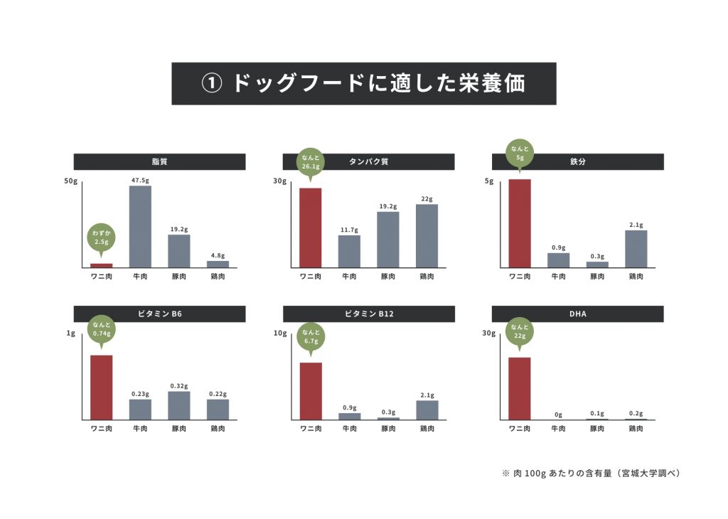 ワニ肉はドッグフードに最適な栄養価