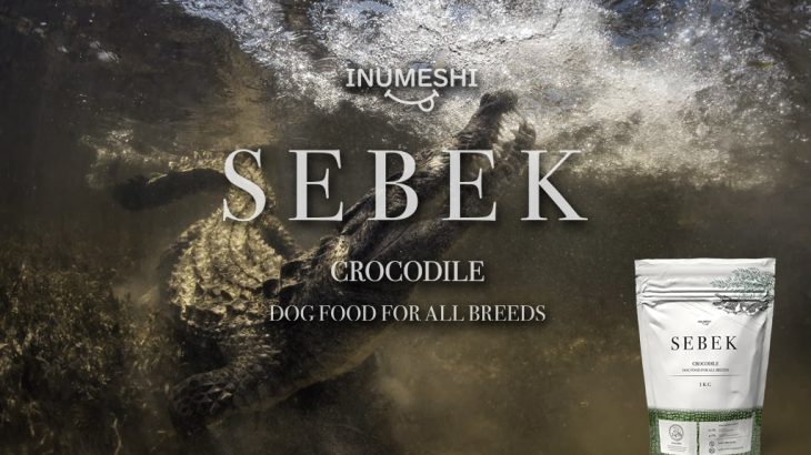 ワニ肉 は犬に最良なタンパク質 世界初ワニ肉ドッグフード Sebek セベク Inumeshi Blog ワニ肉 は犬に最良なタンパク質 世界初ワニ肉ドッグフード Sebek セベク Inumeshi Blog