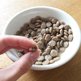 ドッグフードをふやかすメリット デメリットは 正しいふやかし方を画像付きで解説 Inumeshi Blog ドッグフードをふやかすメリット デメリットは 正しいふやかし方を画像付きで解説 Inumeshi Blog