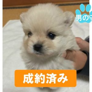 201711-005_preview 201711-005_preview